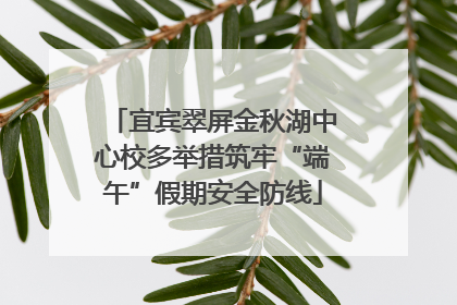 宜宾翠屏金秋湖中心校多举措筑牢“端午”假期安全防线