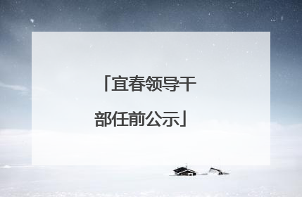 宜春领导干部任前公示