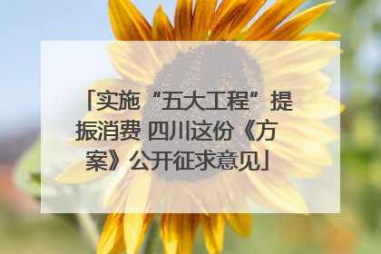 实施“五大工程”提振消费 四川这份《方案》公开征求意见