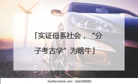 实证母系社会，“分子考古学”为啥牛