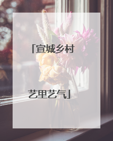 宣城乡村 艺里艺气