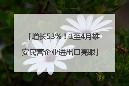 增长53%！1至4月雄安民营企业进出口亮眼