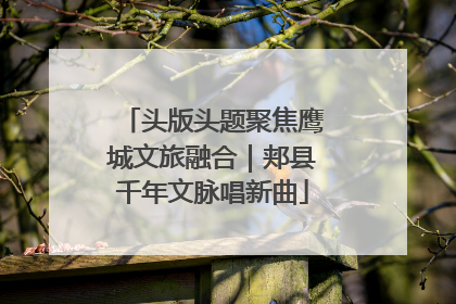 头版头题聚焦鹰城文旅融合｜郏县千年文脉唱新曲