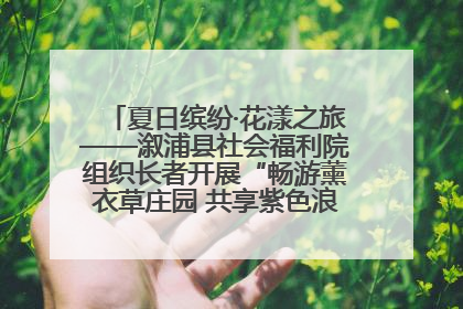 夏日缤纷·花漾之旅——溆浦县社会福利院组织长者开展“畅游薰衣草庄园 共享紫色浪漫”户外活动