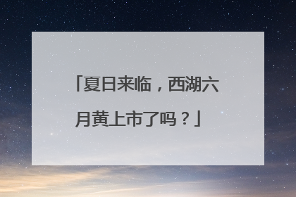 夏日来临，西湖六月黄上市了吗？