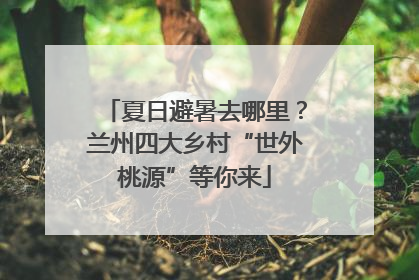 夏日避暑去哪里？兰州四大乡村“世外桃源”等你来