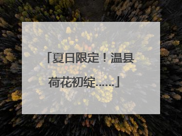 夏日限定！温县荷花初绽……