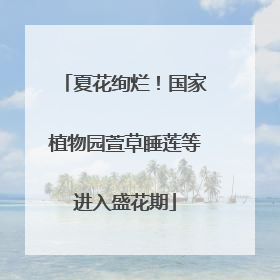 夏花绚烂！国家植物园萱草睡莲等进入盛花期