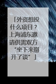 外资想投什么项目？上海浦东邀请供需双方“坐下来掰开了谈”