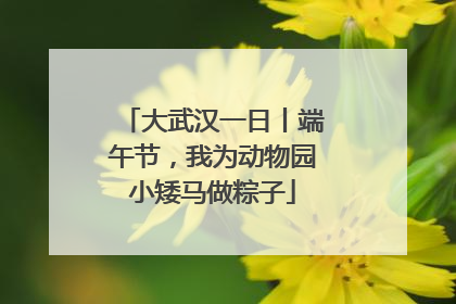 大武汉一日丨端午节，我为动物园小矮马做粽子
