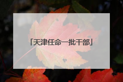 天津任命一批干部