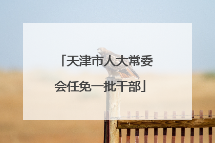 天津市人大常委会任免一批干部