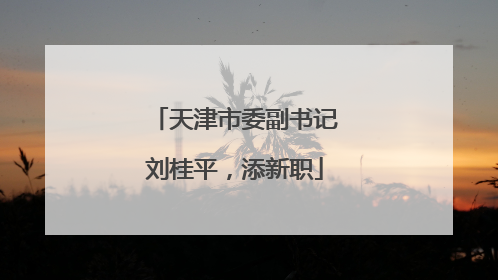 天津市委副书记刘桂平，添新职