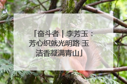 奋斗者｜李芳玉：芳心织就光明路 玉洁香凝满青山