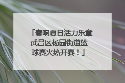 奏响夏日活力乐章 武昌区杨园街道篮球赛火热开赛！