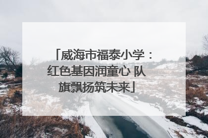 威海市福泰小学：红色基因润童心 队旗飘扬筑未来