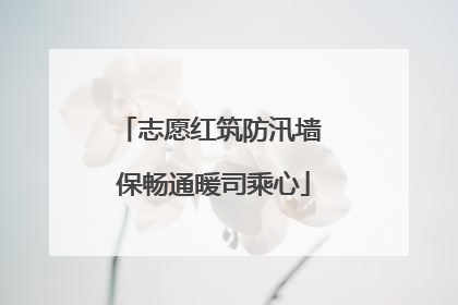 志愿红筑防汛墙 保畅通暖司乘心