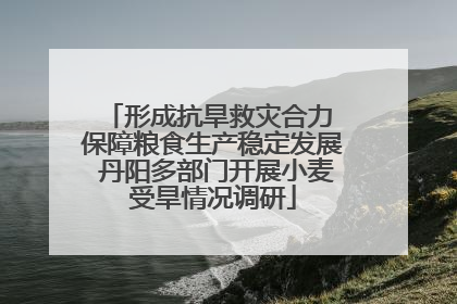 形成抗旱救灾合力 保障粮食生产稳定发展 丹阳多部门开展小麦受旱情况调研