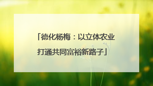 德化杨梅：以立体农业打通共同富裕新路子