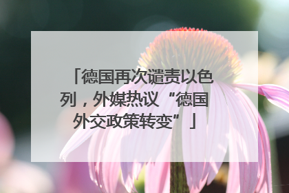 德国再次谴责以色列，外媒热议“德国外交政策转变”