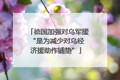 德国加强对乌军援 “是为减少对乌经济援助作铺垫”