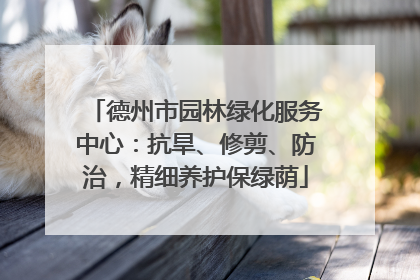 德州市园林绿化服务中心：抗旱、修剪、防治，精细养护保绿荫