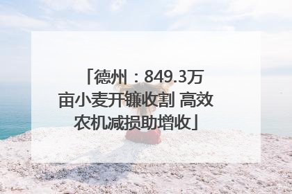 德州：849.3万亩小麦开镰收割 高效农机减损助增收