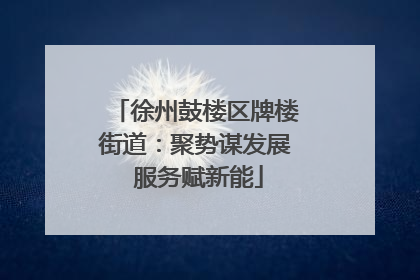 徐州鼓楼区牌楼街道：聚势谋发展 服务赋新能