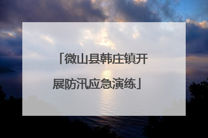 微山县韩庄镇开展防汛应急演练