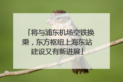 将与浦东机场空铁换乘，东方枢纽上海东站建设又有新进展
