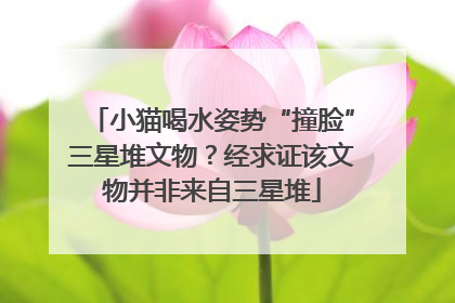 小猫喝水姿势“撞脸”三星堆文物？经求证该文物并非来自三星堆