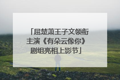 屈楚萧王子文领衔主演《有朵云像你》剧组亮相上影节