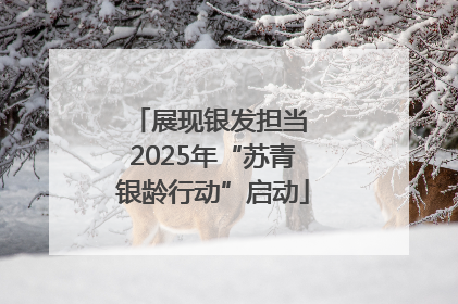 展现银发担当 2025年“苏青银龄行动”启动