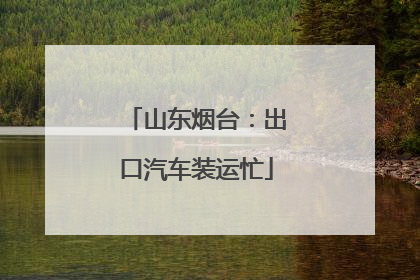 山东烟台：出口汽车装运忙