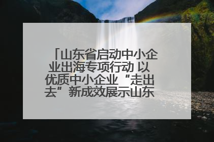 山东省启动中小企业出海专项行动 以优质中小企业“走出去”新成效展示山东产业发展新形象