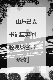 山东省委书记直奔问题现场督导整改
