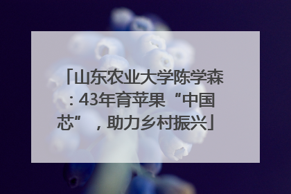 山东农业大学陈学森：43年育苹果“中国芯”，助力乡村振兴