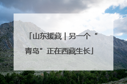 山东援藏｜另一个“青岛”正在西藏生长