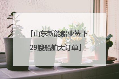 山东新能船业签下29艘船舶大订单