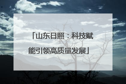 山东日照：科技赋能引领高质量发展