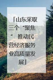 山东采取三个“聚焦” 推动民营经济服务业高质量发展