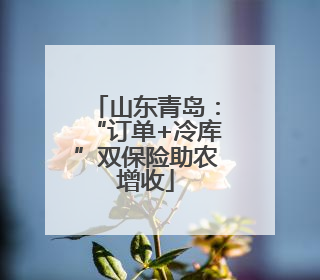 山东青岛：“订单+冷库”双保险助农增收