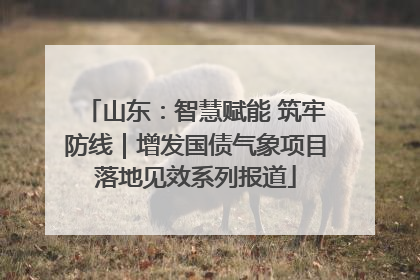 山东：智慧赋能 筑牢防线｜增发国债气象项目落地见效系列报道