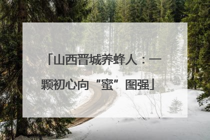 山西晋城养蜂人：一颗初心向“蜜”图强