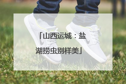 山西运城：盐湖捞虫别样美