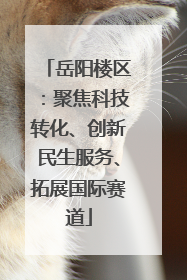 岳阳楼区：聚焦科技转化、创新民生服务、拓展国际赛道