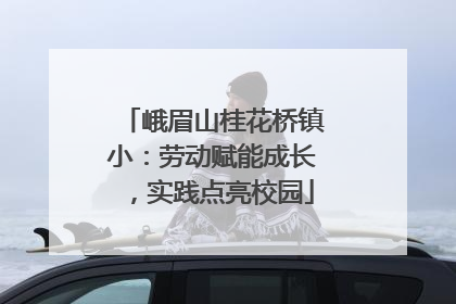 峨眉山桂花桥镇小：劳动赋能成长，实践点亮校园