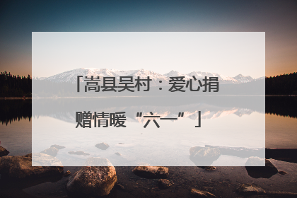 嵩县吴村：爱心捐赠情暖“六一”