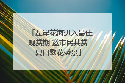 左岸花海进入最佳观赏期 邀市民共赏夏日繁花盛景