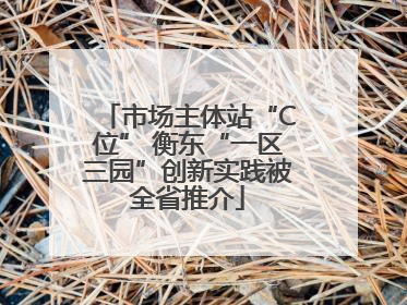 市场主体站“C位” 衡东“一区三园”创新实践被全省推介
